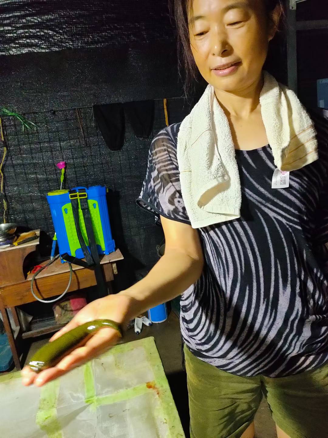 小水蛭“钻”出大产业 高家堰“链”就特色水产新路径.docx