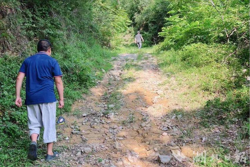 官山镇纪委：聚焦民生实事 泥泞道路焕新颜.docx