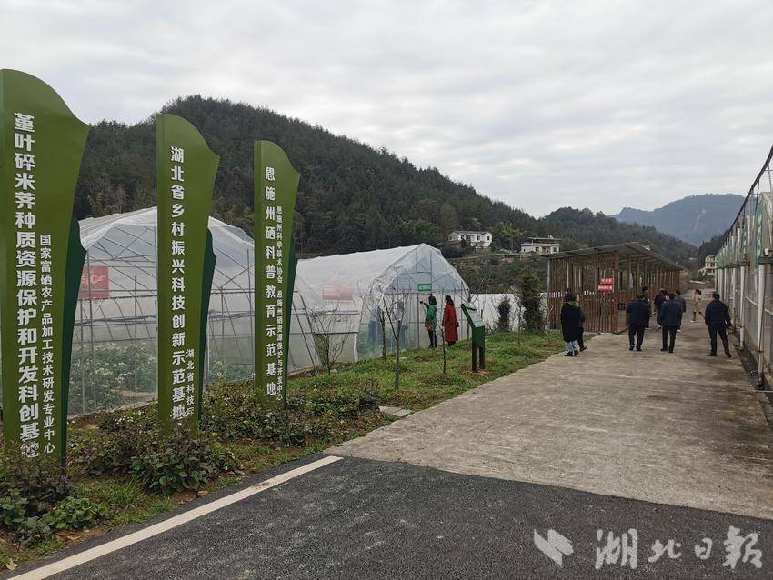 农业技术开发：为农业生产插上科技翅膀
