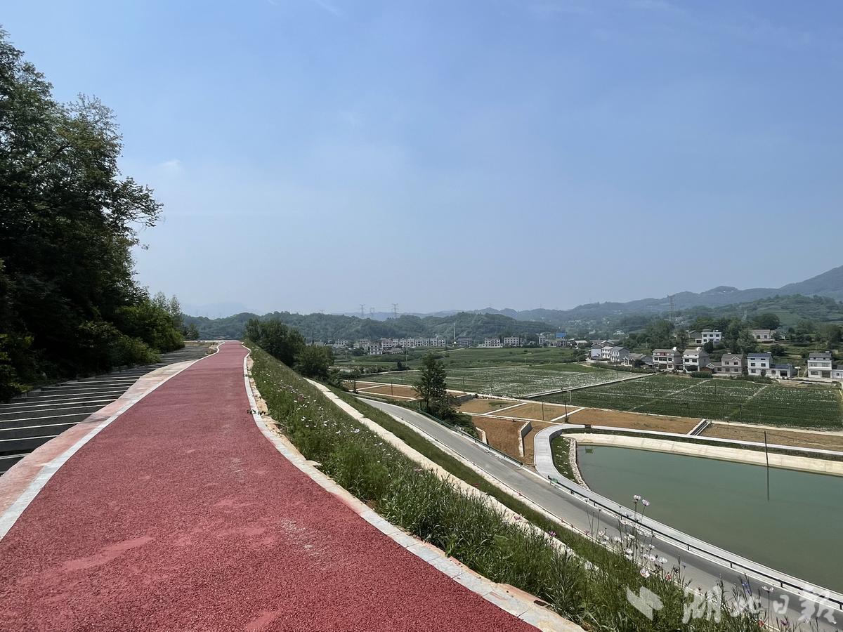 幸福渠灌溉下的聂家河村农田。（湖北日报全媒记者 文凯 摄）