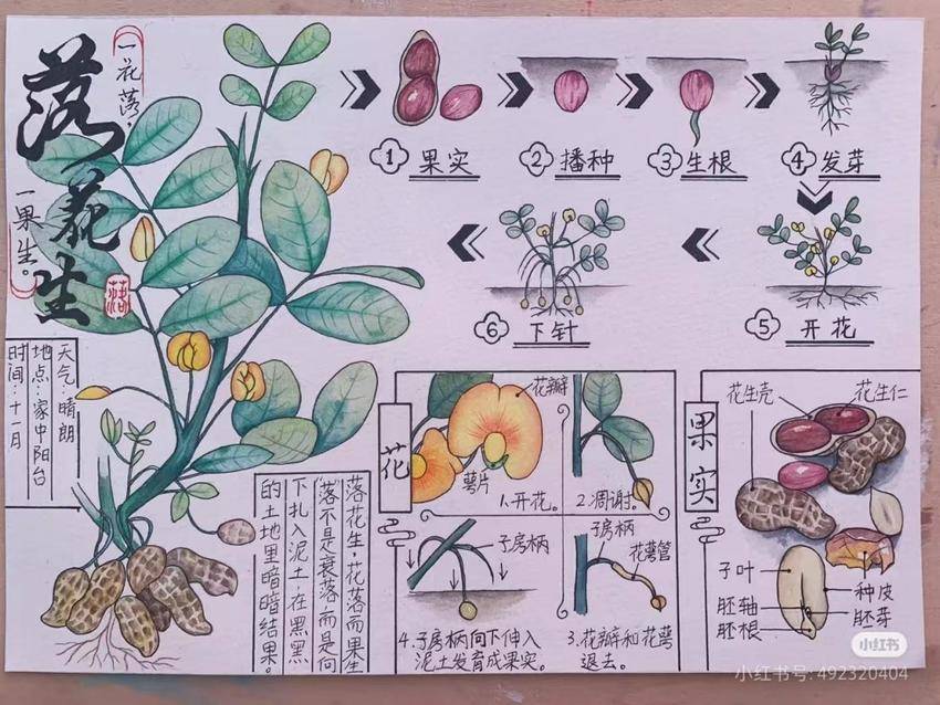 核心素养视角下小学语文开放性作业设计的策略与实践.doc