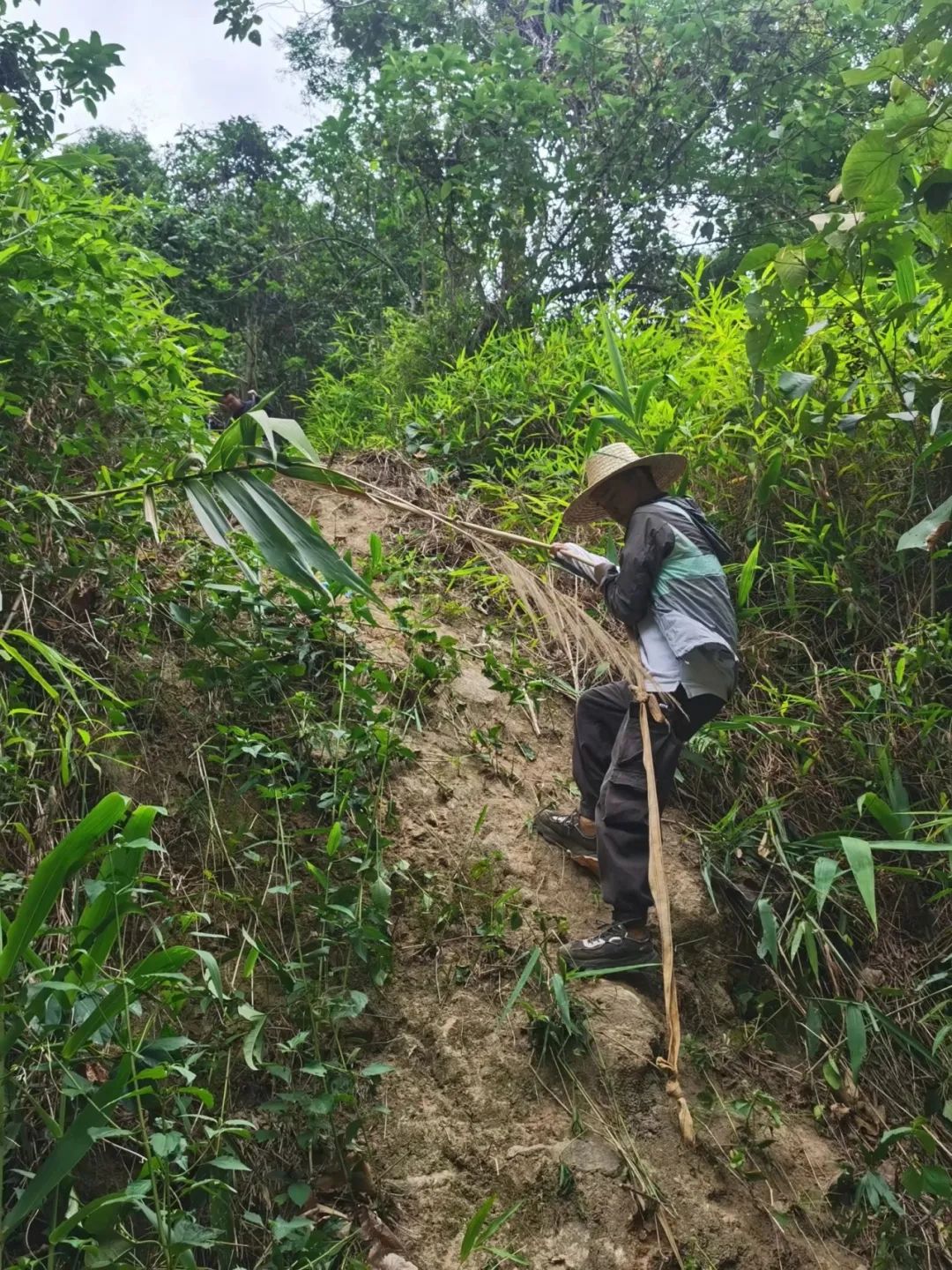 【特别策划】挺进深山峡谷的“先锋队”.docx