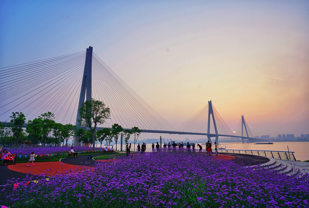 湖北38座长江大桥座座身世不凡，快来瞧一瞧 【湖北省境内长江大桥全名单（上游至下游）】(图28)
