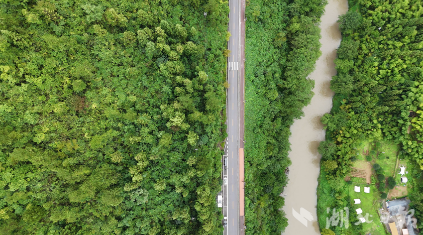 利川腾龙洞旅游公路：从“交通线”到“生态经济链”的实践之路（利川市农路）.docx
