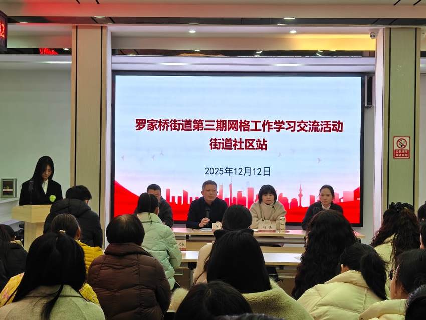 20251212（新闻稿）罗家桥街道第三期网格工作学习交流活动走进街道社区：“麻雀”虽小 治理尤全.doc