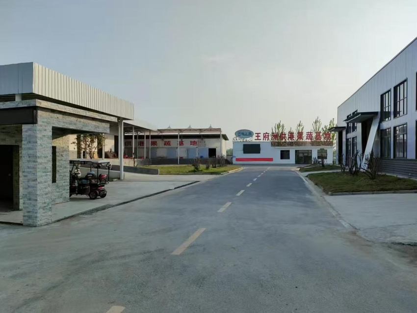 信息 老河口 激活“一轴三联”红引擎，缔造绿岛王府洲.docx