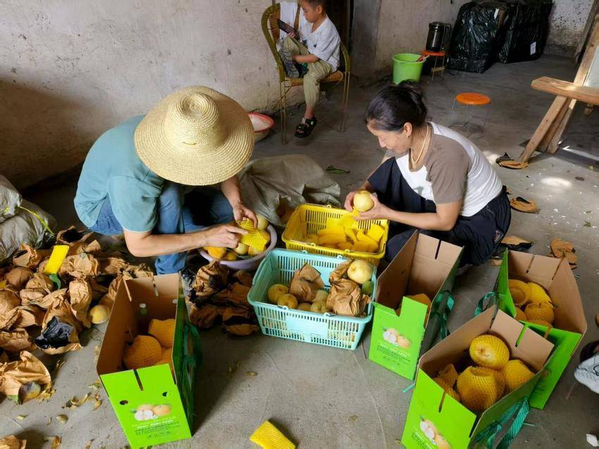 【修改定稿版】将军山脚下正冲村【余四海散文2850字】.docx