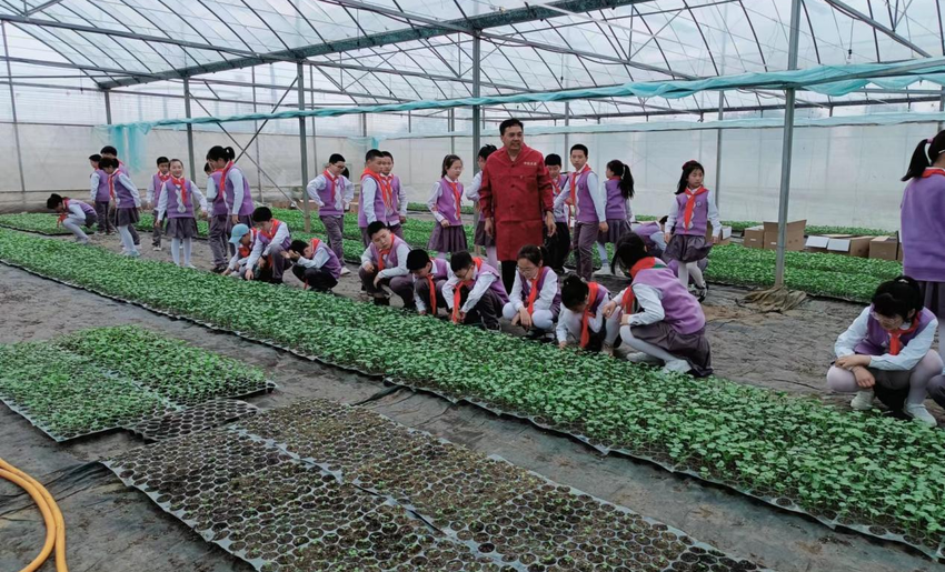 0419石首市天字号瓜蔬土地股份专业合作社获批第三批湖北石首瓜菜科技小院（荆州科协）.docx