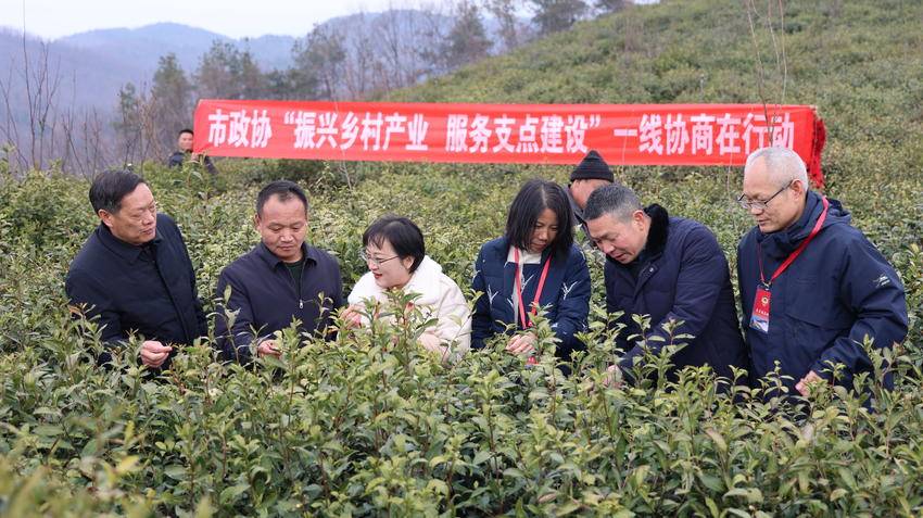 丹江口市政协：服务支点建设 助力乡村振兴.doc
