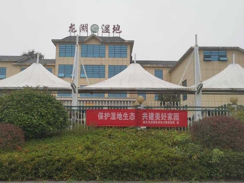 龙湖湿地管理局扎实开展湖北省首届“湿地保护宣传周”宣传活动.doc