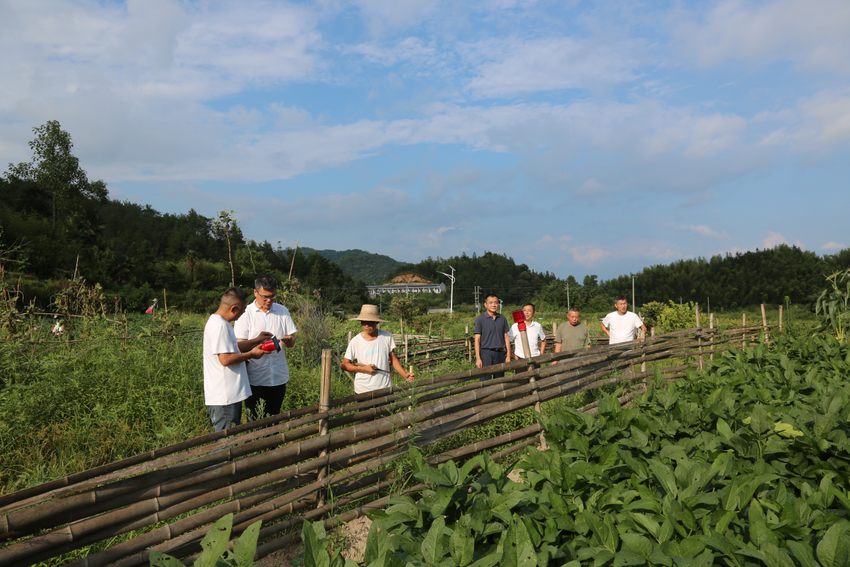 黄梅县：多措并举防控野猪危害“标本兼治”解民难(1).docx