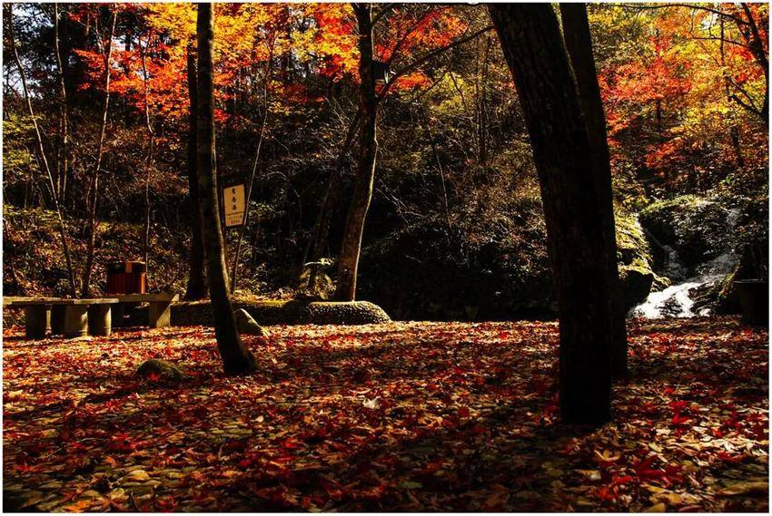 欢度国庆(通稿）1.docx