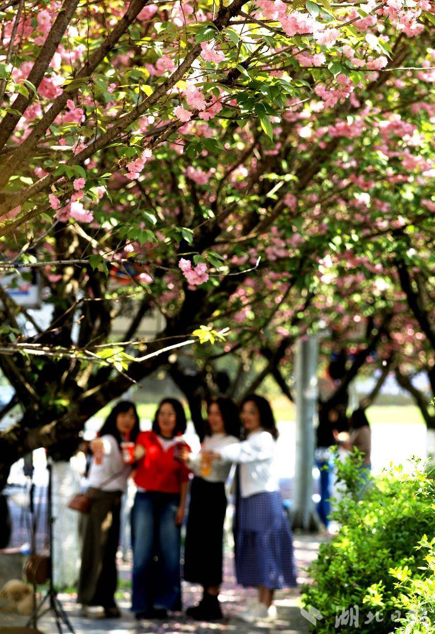 IMGL8204_副本_副本.jpg IMGL8204_副本_副本.jpg