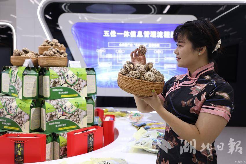 郧西县香菇产品展示