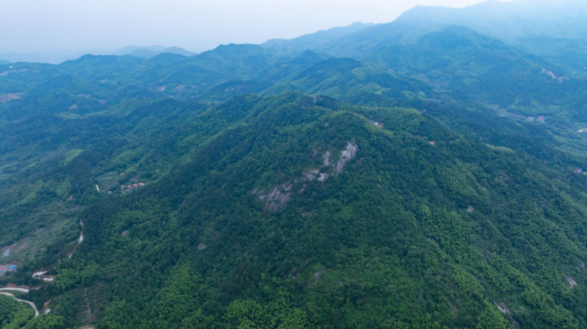 揭秘《西游记》“花果山”原型——武穴太平山( 图文).docx