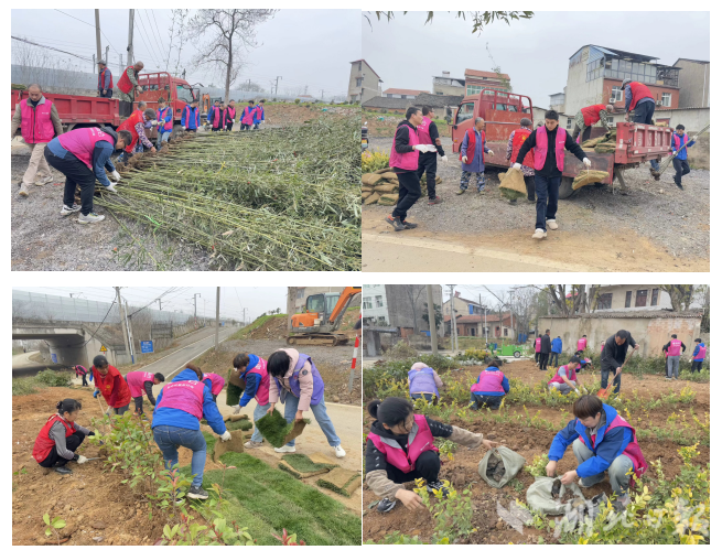 党建引领生态蝶变：武城村“唯爱小花园”绘就乡村振兴新图景.docx