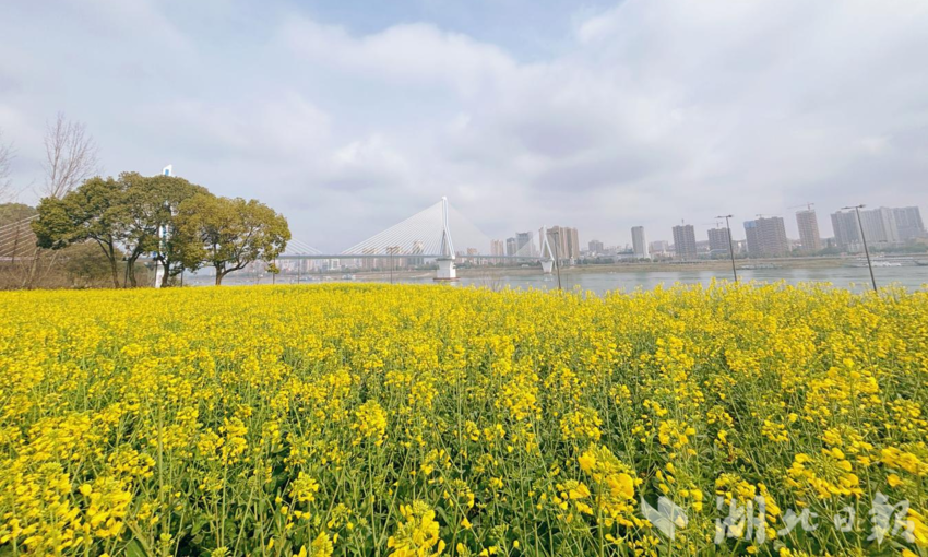 联棚河入江口 杨琢摄