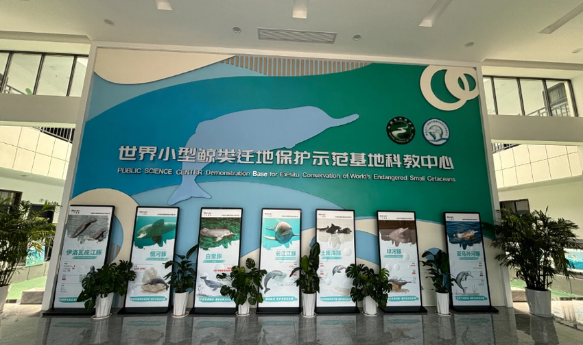 天鹅洲生态旅游：蓄势腾飞正当时(6)(2).docx
