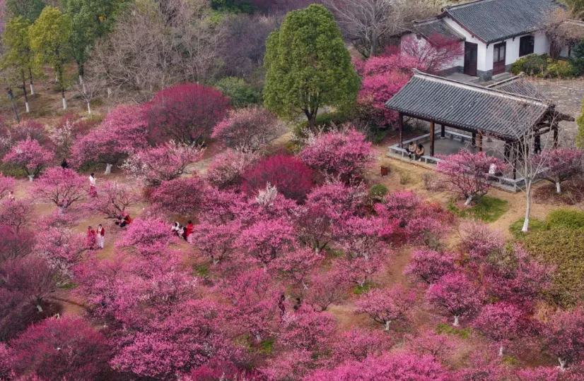 从此东坡·烟火黄州年 2026东坡庙会黄冈主城区春节文旅活动导览.docx