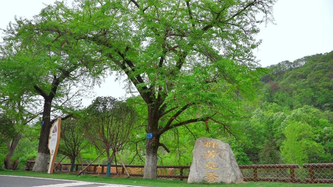 Ǯ26.jpg