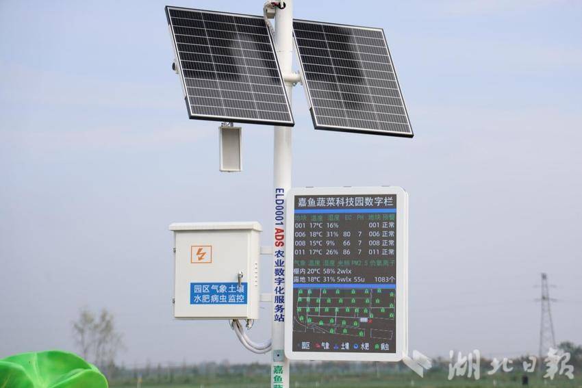 用科技打开现代农业发展新篇章——潘家湾镇蔬菜产业综述（科技篇）.docx