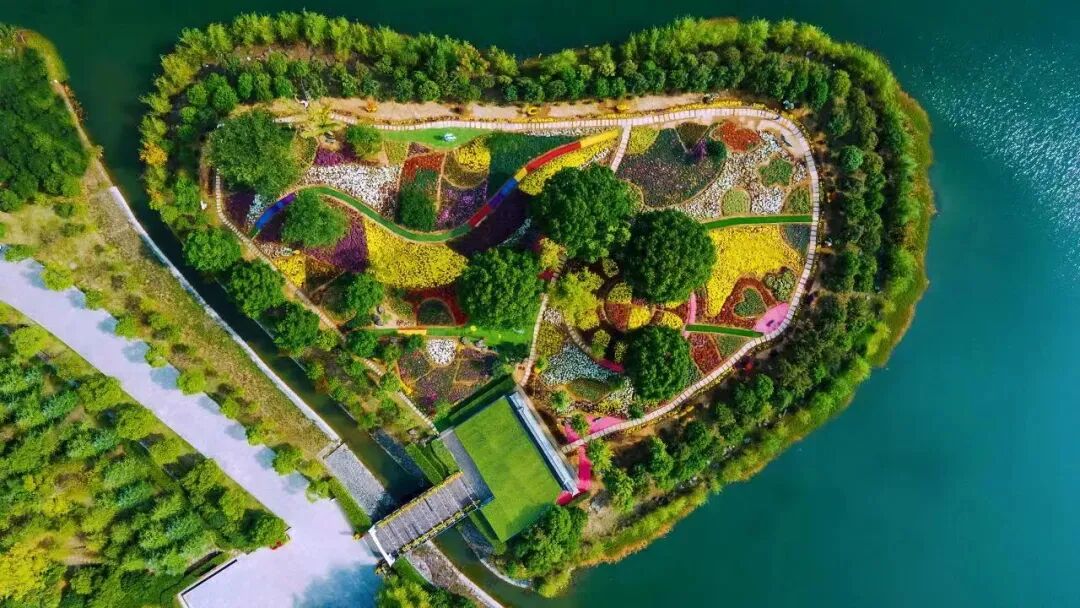 菊展_看图王.jpg