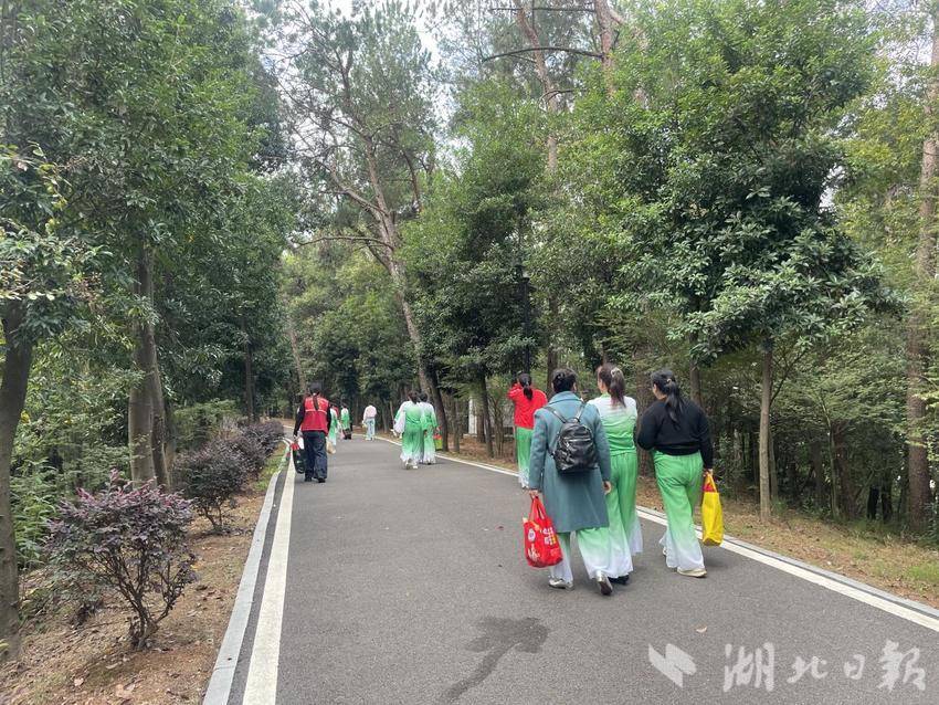 重阳健步牛头山 嘉鱼敬老暖人心(1).docx