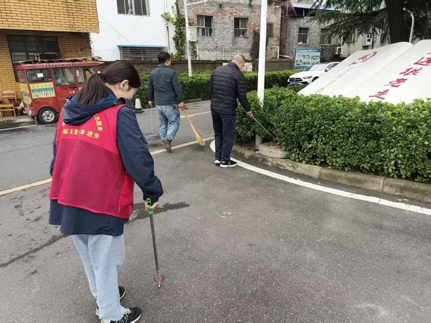 10.10洁城行动美环境.docx