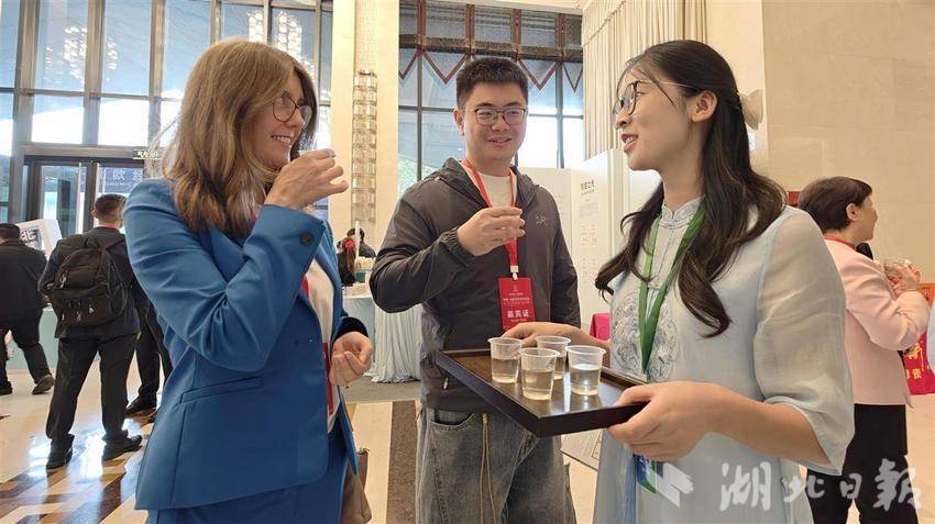 外宾品鉴英山云雾茶