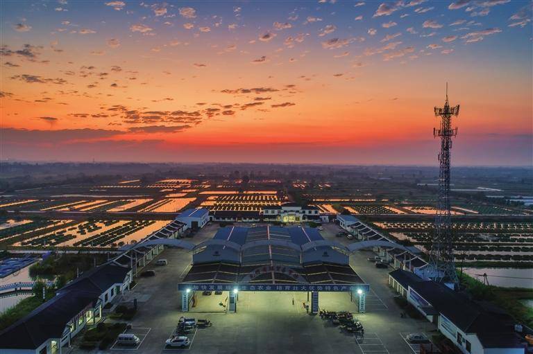 交易市场 供应全国