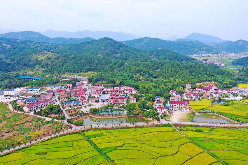 苦竹乡养马岭村