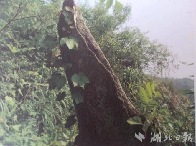 岁月无声  唯石能言(1).docx