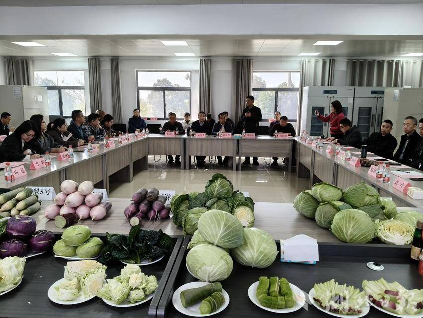 嘉鱼健康蔬菜首季品鉴会召开(1)(1).docx