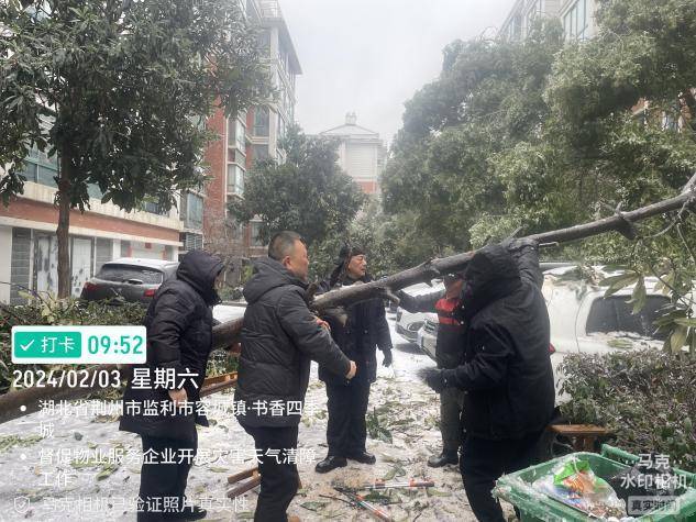 市住建局全力以赴应对雨雪冰冻.docx