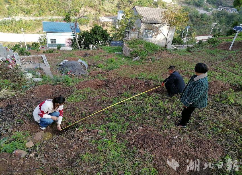 响滩村枇杷、夏橙 共同缔造20211121.docx