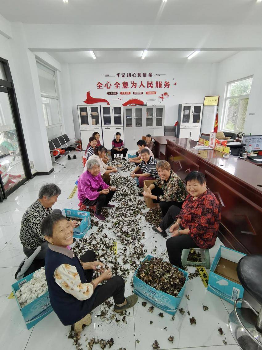 党建引领聚人心 留守老人义务剥棉忙.docx