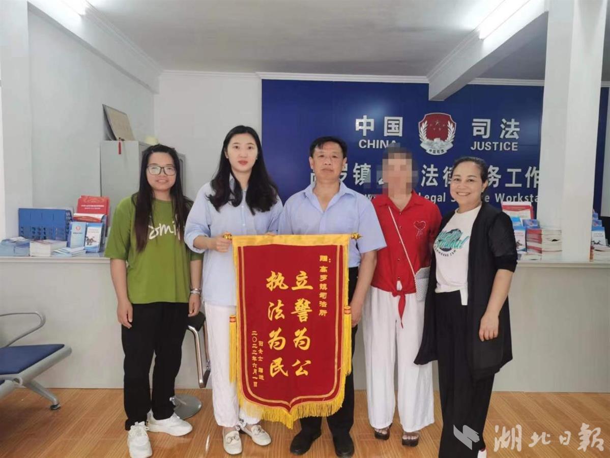 湖北法律咨询服务现状探析