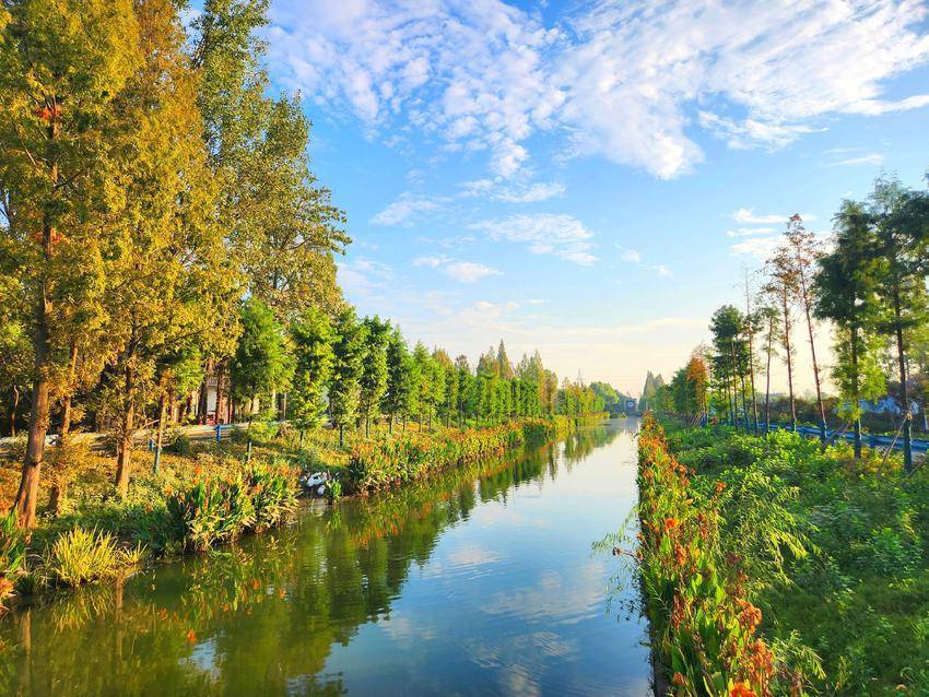 朱湖纪工委创新监督机制 筑牢湿地生态保护纪律屏障(2)(3).docx