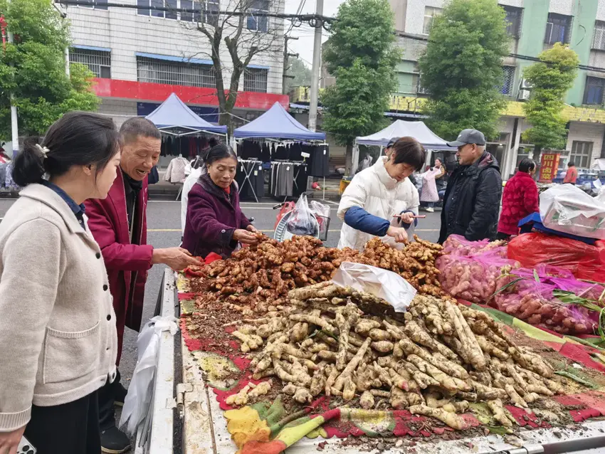 =马家寨乡“逢十集市”火热开场，点燃乡村振兴新引擎.docx