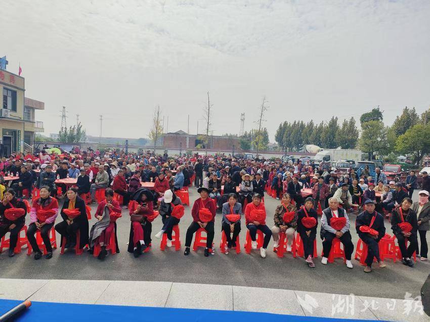 兰杰村重阳活动10.29.doc