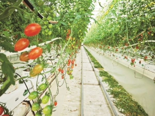 微信截图_20241217094145