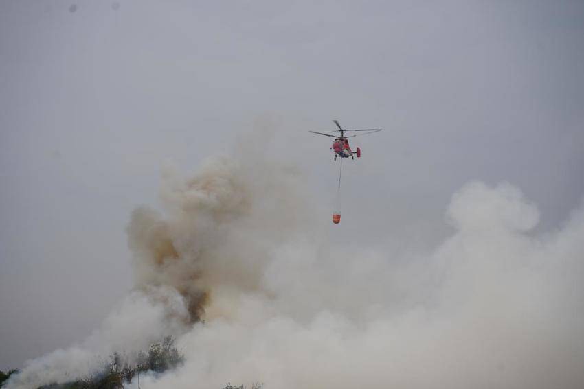 武当山航空护林站直升机群亮剑湖北省森林火灾应急演练.docx