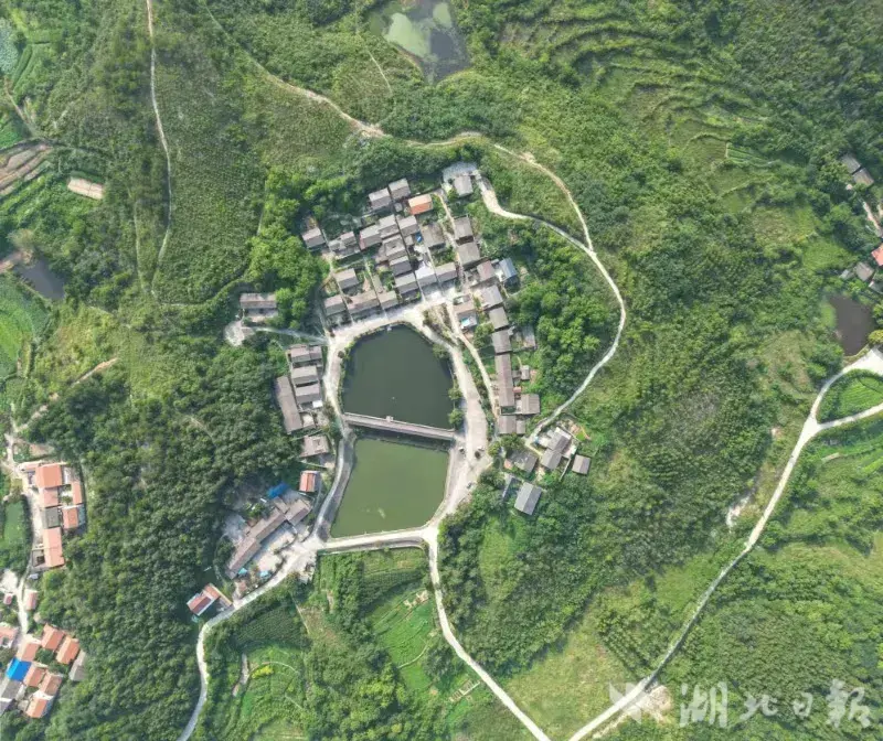 1歧亭杏花村：千年花事，一脉人文.docx