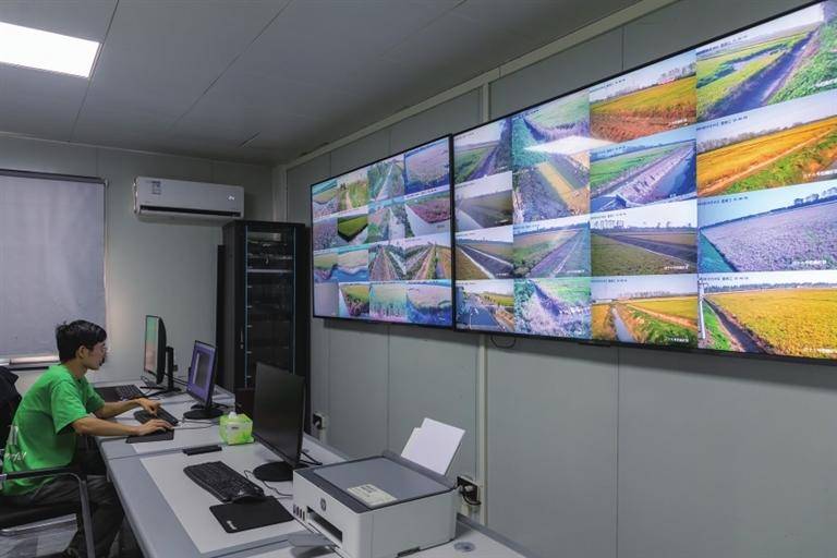 数据赋能 产业跃升