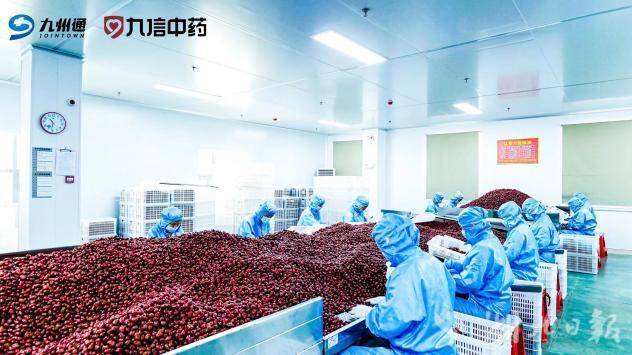 政府搭桥破融资难题 企业获贷启发展新篇-改.doc