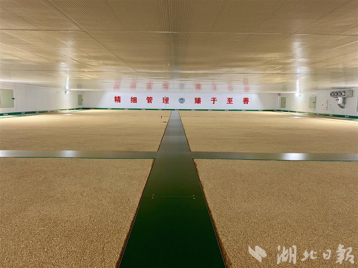 省储备粮油荆门公司的准低温仓，稻谷住“空调房”（受访者提供）