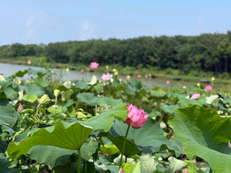 零点艺术农场.docx