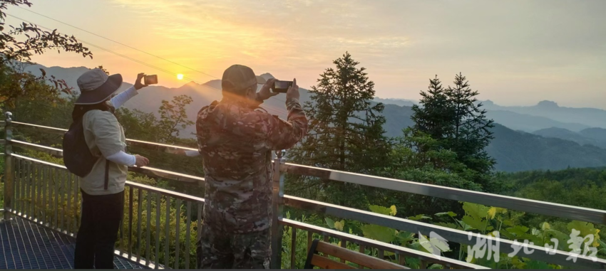 通讯员彭志刚 摄