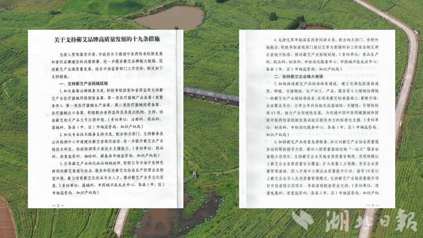 《关于支持蕲艾品牌高质量发展十九条措施》（部分文本））