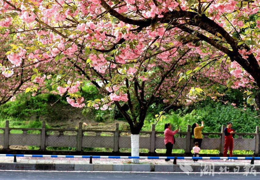 IMGL8635_副本_副本.jpg IMGL8635_副本_副本.jpg